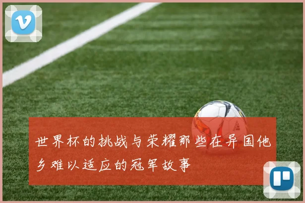 世界杯的挑战与荣耀那些在异国他乡难以适应的冠军故事