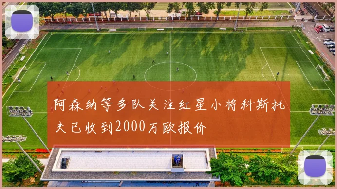 阿森纳等多队关注红星小将科斯托夫已收到2000万欧报价