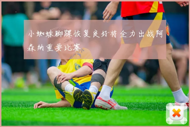 小蜘蛛脚踝恢复良好将全力出战阿森纳重要比赛