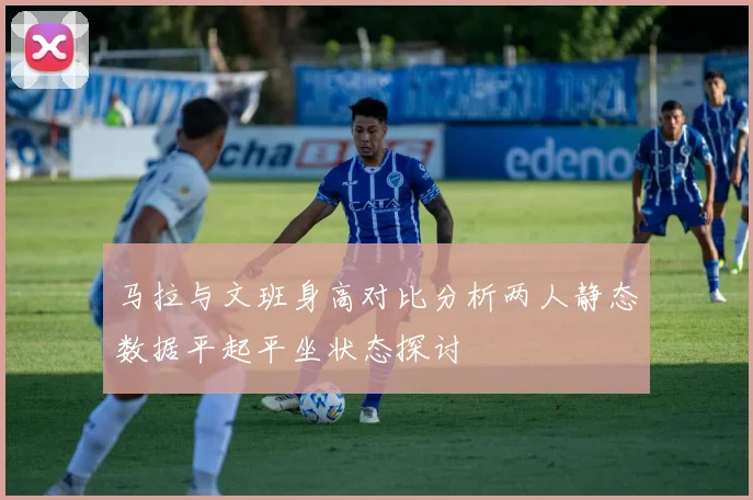 马拉与文班身高对比分析两人静态数据平起平坐状态探讨