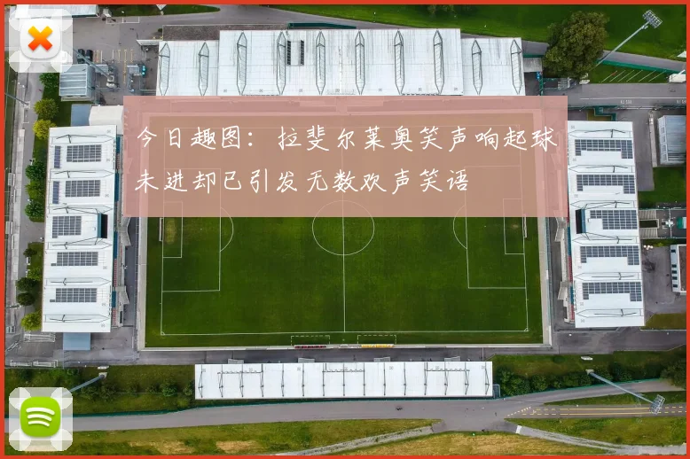 今日趣图：拉斐尔莱奥笑声响起球未进却已引发无数欢声笑语