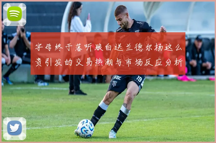 字母终于落听狼白送兰德尔杨这么贵引发的交易热潮与市场反应分析